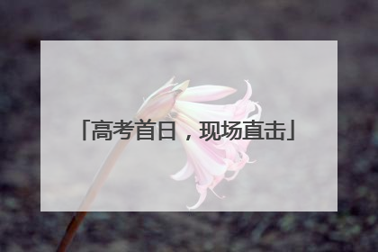 高考首日，现场直击