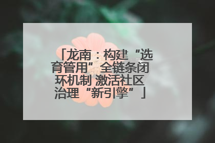 龙南：构建“选育管用”全链条闭环机制 激活社区治理“新引擎”