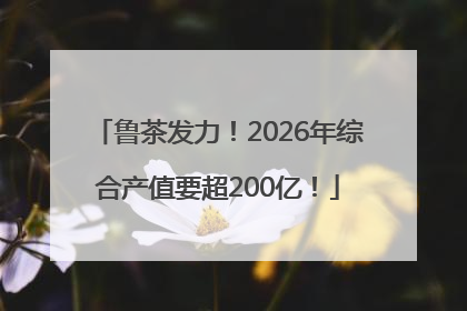 鲁茶发力！2026年综合产值要超200亿！