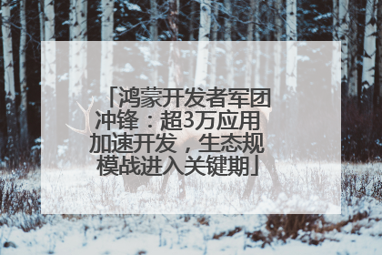 鸿蒙开发者军团冲锋：超3万应用加速开发，生态规模战进入关键期