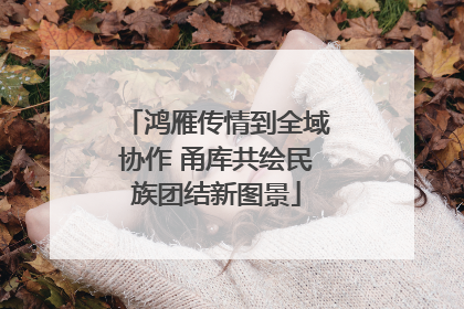 鸿雁传情到全域协作 甬库共绘民族团结新图景