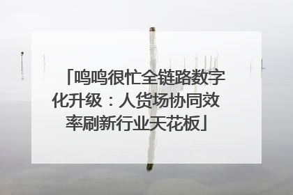 鸣鸣很忙全链路数字化升级：人货场协同效率刷新行业天花板