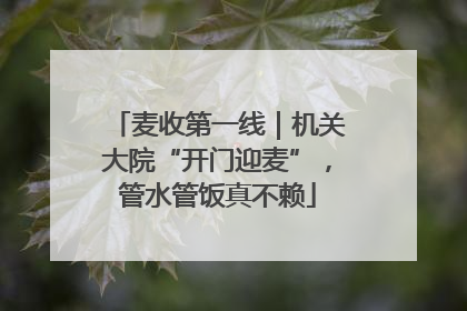 麦收第一线｜机关大院“开门迎麦”，管水管饭真不赖
