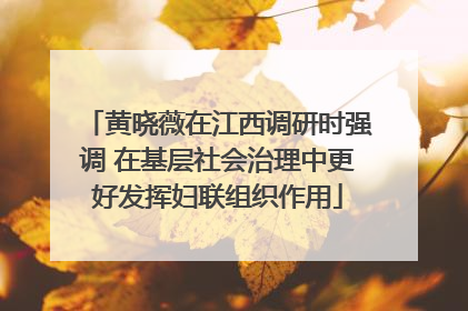 黄晓薇在江西调研时强调 在基层社会治理中更好发挥妇联组织作用