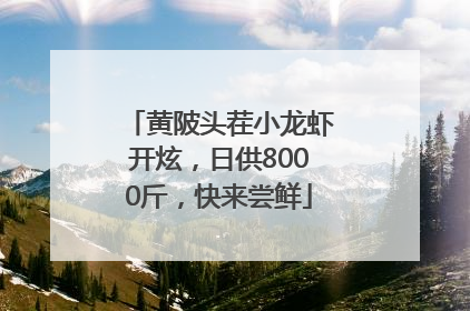 黄陂头茬小龙虾开炫，日供8000斤，快来尝鲜