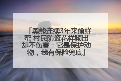 黑熊连续3年来偷蜂蜜 村民防盗花样频出却不伤害：它是保护动物，我有保险兜底