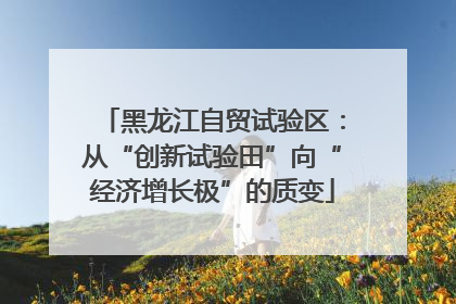 黑龙江自贸试验区：从“创新试验田”向“经济增长极”的质变