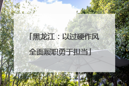 黑龙江：以过硬作风全面履职勇于担当