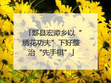 黟县宏潭乡以“绣花功夫”下好整治“先手棋”