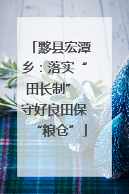 黟县宏潭乡：落实“田长制” 守好良田保“粮仓”