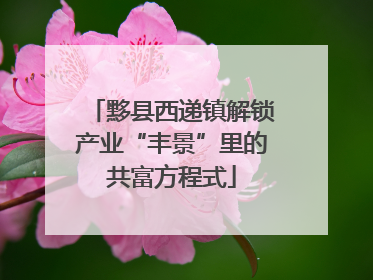 黟县西递镇解锁产业“丰景”里的共富方程式