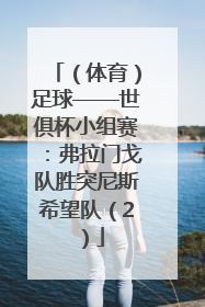 （体育）足球——世俱杯小组赛：弗拉门戈队胜突尼斯希望队（2）
