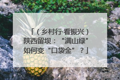 （乡村行·看振兴）陕西留坝：“满山绿”如何变“口袋金”？
