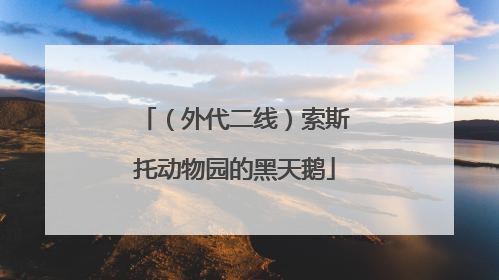 （外代二线）索斯托动物园的黑天鹅