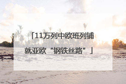 11万列中欧班列铺就亚欧“钢铁丝路”