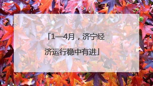 1—4月，济宁经济运行稳中有进