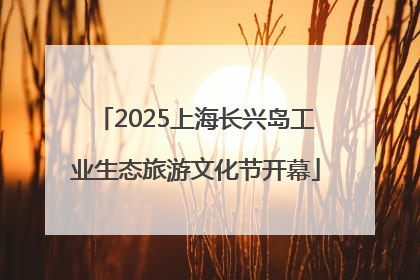 2025上海长兴岛工业生态旅游文化节开幕