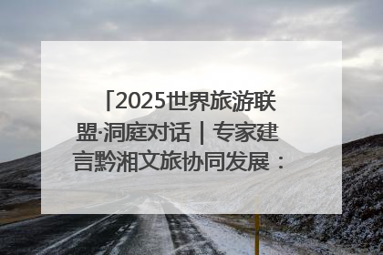 2025世界旅游联盟·洞庭对话｜专家建言黔湘文旅协同发展：聚焦产品稀缺性 深化区域经验共享