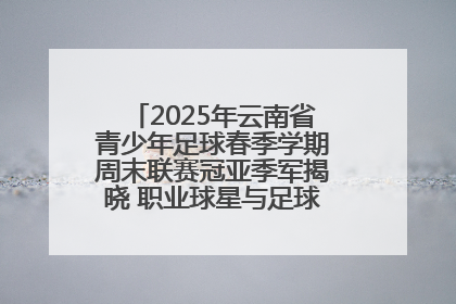 2025年云南省青少年足球春季学期周末联赛冠亚季军揭晓 职业球星与足球小将共享荣耀时刻