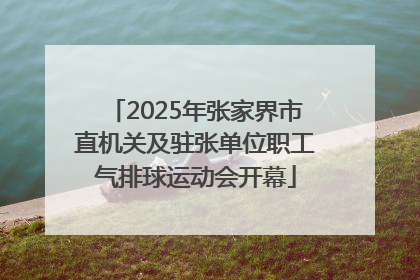 2025年张家界市直机关及驻张单位职工气排球运动会开幕