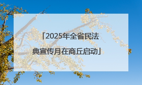 2025年全省民法典宣传月在商丘启动