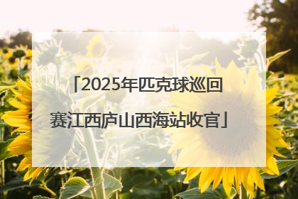 2025年匹克球巡回赛江西庐山西海站收官