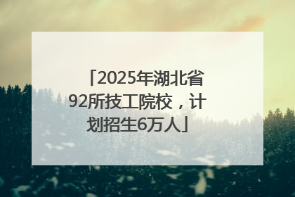 2025年湖北省92所技工院校，计划招生6万人
