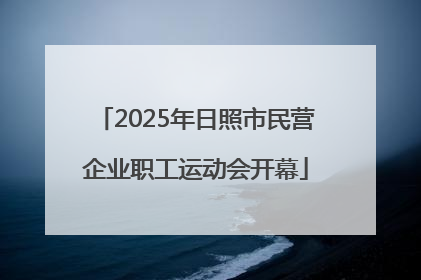2025年日照市民营企业职工运动会开幕