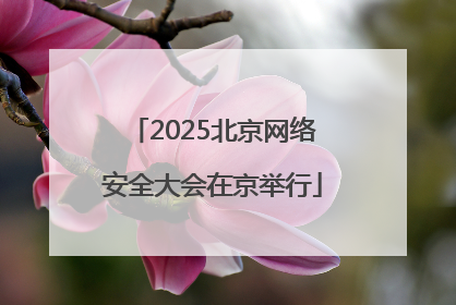 2025北京网络安全大会在京举行