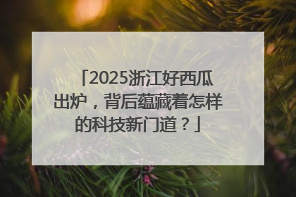 2025浙江好西瓜出炉，背后蕴藏着怎样的科技新门道？