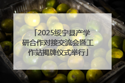 2025绥宁县产学研合作对接交流会暨工作站揭牌仪式举行