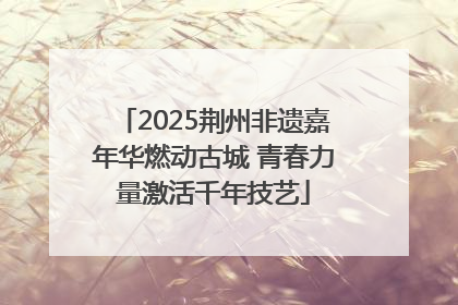 2025荆州非遗嘉年华燃动古城 青春力量激活千年技艺