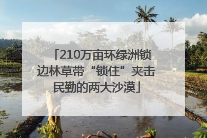 210万亩环绿洲锁边林草带“锁住”夹击民勤的两大沙漠