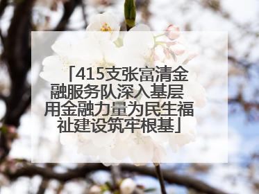 415支张富清金融服务队深入基层 用金融力量为民生福祉建设筑牢根基