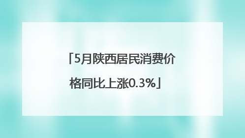 5月陕西居民消费价格同比上涨0.3%