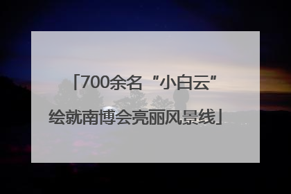 700余名“小白云”绘就南博会亮丽风景线