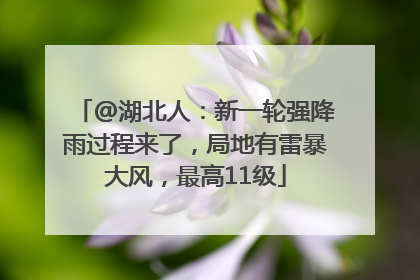 @湖北人：新一轮强降雨过程来了，局地有雷暴大风，最高11级