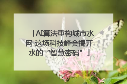 AI算法重构城市水网 这场科技峰会揭开水的“智慧密码”