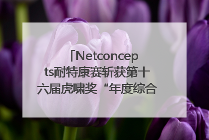 Netconcepts耐特康赛斩获第十六届虎啸奖“年度综合服务商”大奖