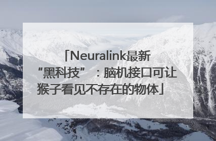Neuralink最新“黑科技”：脑机接口可让猴子看见不存在的物体